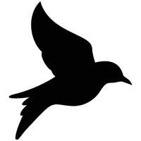 luke-perone-flying-bird-graphic-1