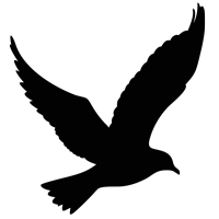 luke-perone-flying-bird-graphic-11