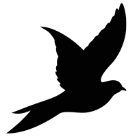 luke-perone-flying-bird-graphic-12