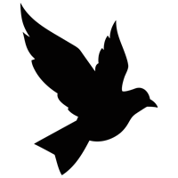 luke-perone-flying-bird-graphic-13