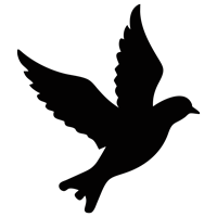 luke-perone-flying-bird-graphic-14