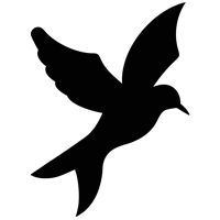 luke-perone-flying-bird-graphic-2