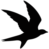 luke-perone-flying-bird-graphic-3