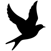 luke-perone-flying-bird-graphic-4