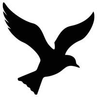 luke-perone-flying-bird-graphic-5