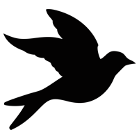 luke-perone-flying-bird-graphic-9